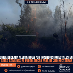 Chile declara alerta roja por incendios forestales en cinco comunas; el fuego afecta más de 300 hectáreas