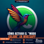 CÓMO ACTIVAR EL “MODO COLIBRÍ” EN WHATSAPP